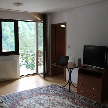 Studio Lalelelor Apartman