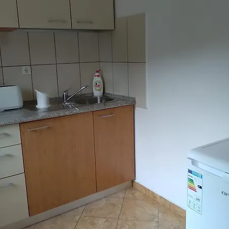 Apartman Studio Lalelelor