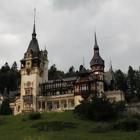 Studio Lalelelor Sinaia