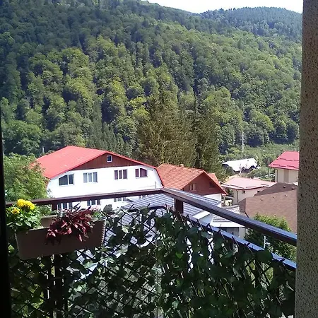Studio Lalelelor Apartman *